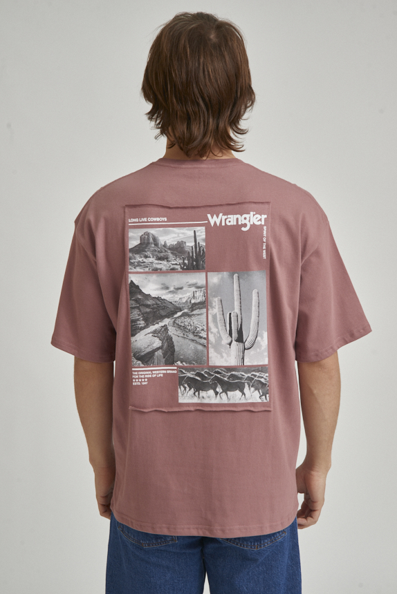 Remera Boxy Photo